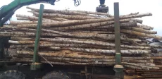 Дрова береза 9 м3 в прицепе