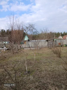 Участок почти даром