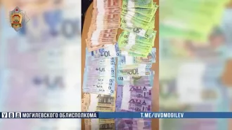 Рецидивист взломал магазин в Бобруйске и украл крупную сумму