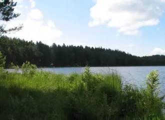 Погода на 17 августа в Бобруйске
