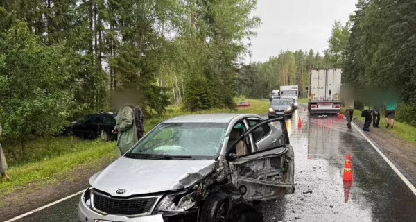 56-летний водитель BMW, двигавшийся в Бобруйск, совершил запрещённый обгон, спровоцировавший двойное ДТП