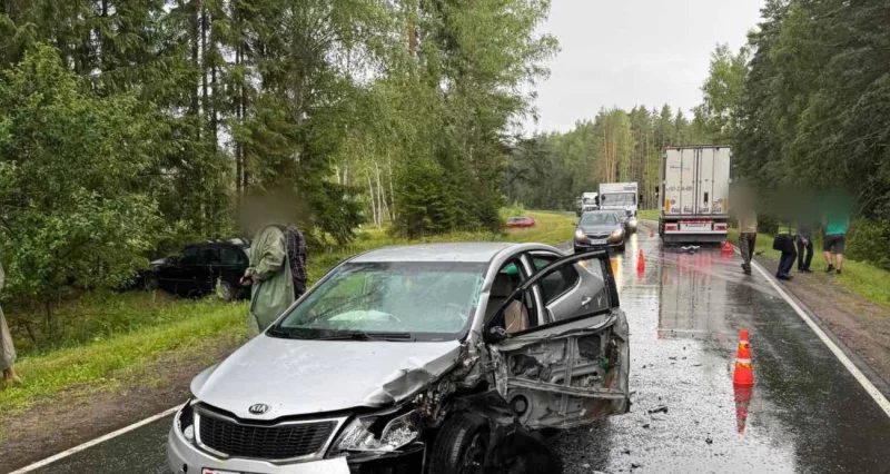 56-летний водитель BMW, двигавшийся в Бобруйск, совершил запрещённый обгон, спровоцировавший двойное ДТП