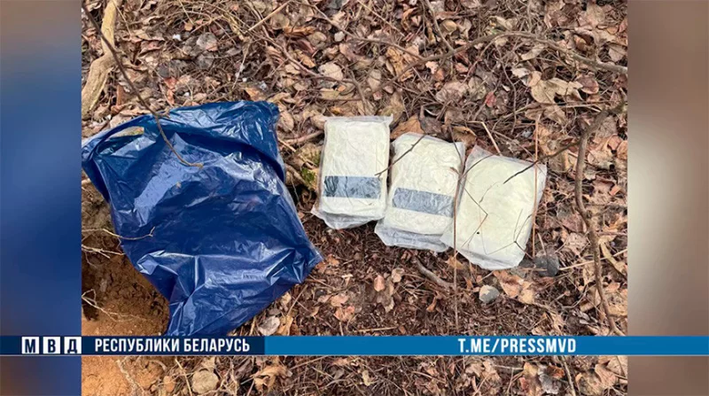 Бобруйские милиционеры помогли столичным коллегам задержать наркокурьеров
