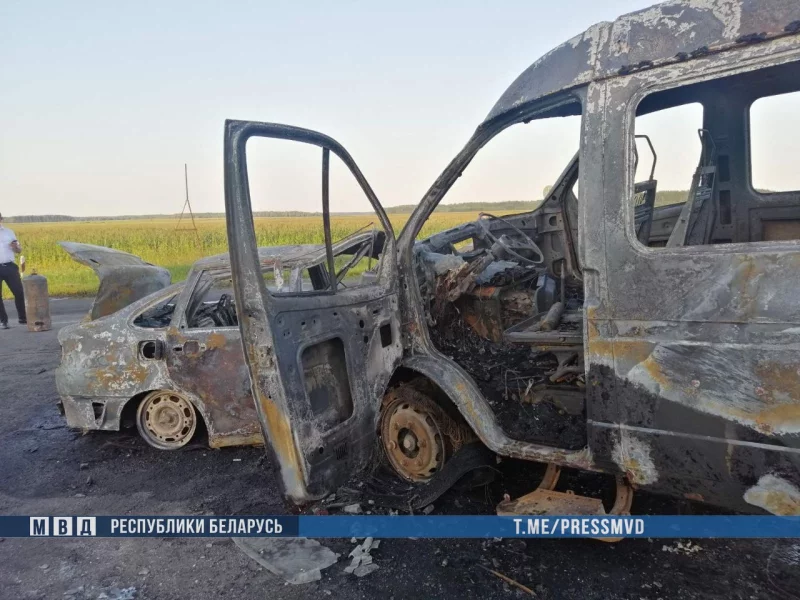 ДТП на Гомельщине: двое погибших