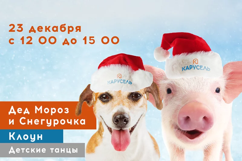Проведи Рождественские выходные с нами!