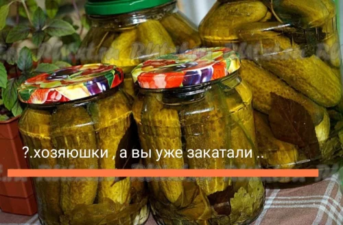 Огурцы и помидоры