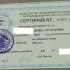 Английский для школьников / ЦТ/ЦЭ