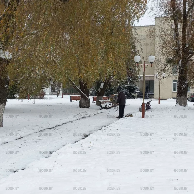 Выживет только культура 