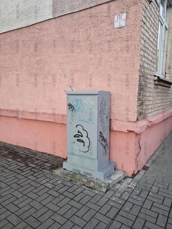 Бобруйчане с художественным вкусом внесли свою лепту в украшение родного города, разукраситв трансформаторную будку. К