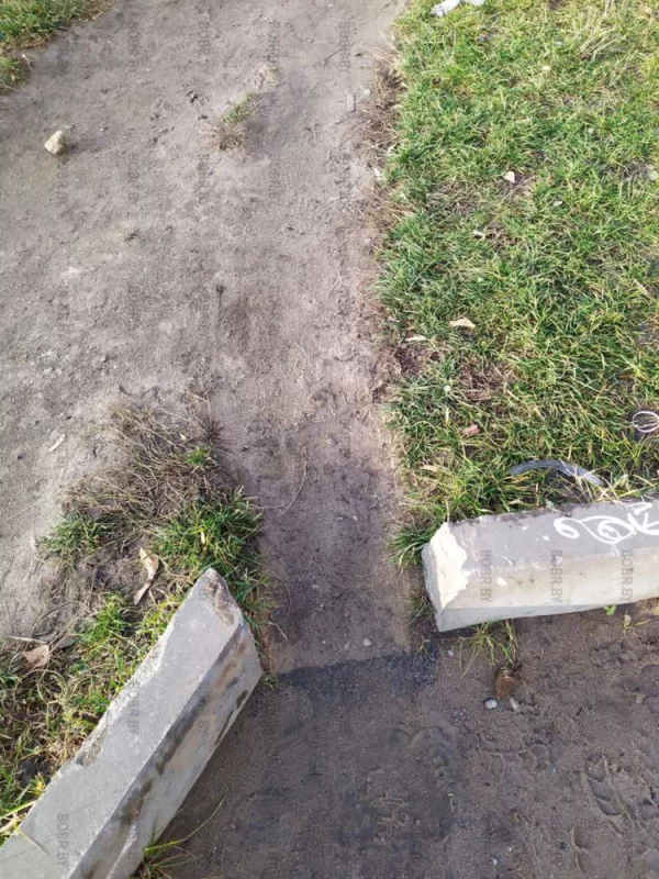 Дорожка