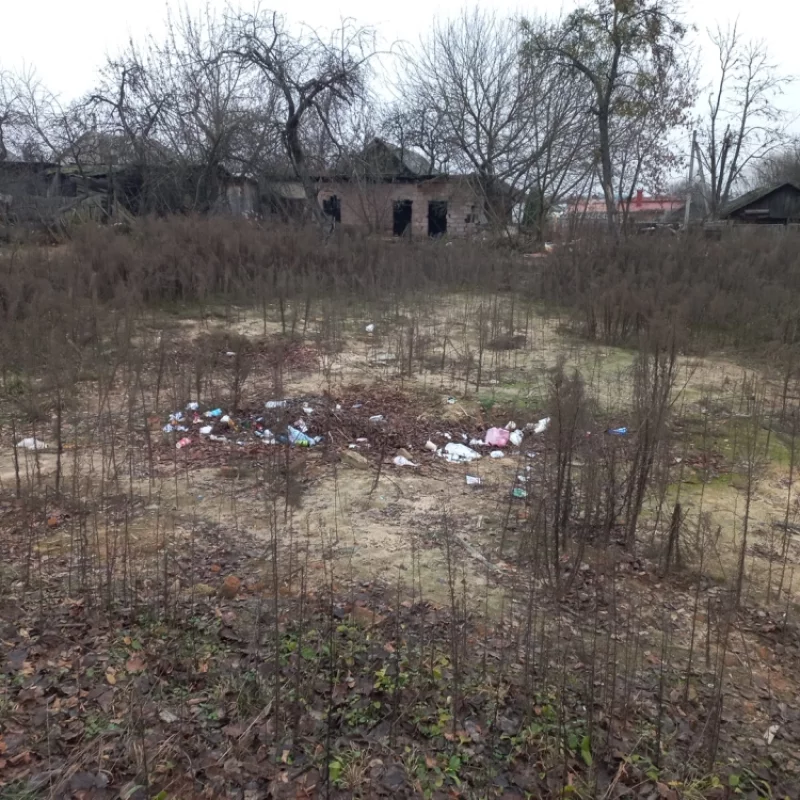 Стихийная мусорка