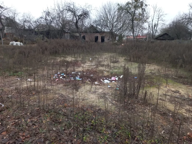 Стихийная мусорка