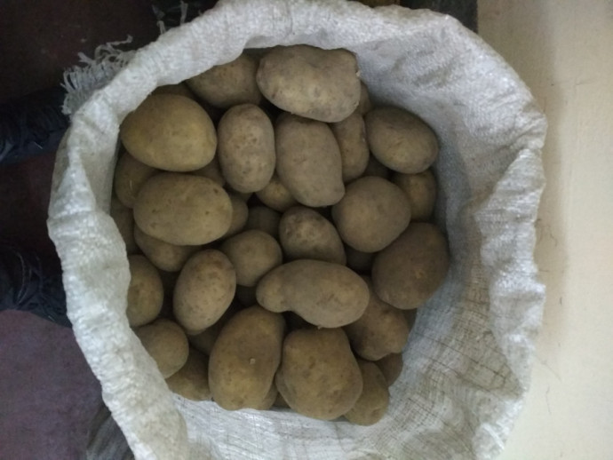 Картофель крупный и мелкий__6, 7-й м-рн доставка