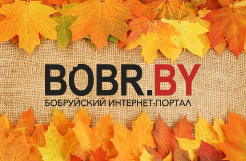 Встречаем осень с BOBR.BY! Акция сентября для рекламодателей