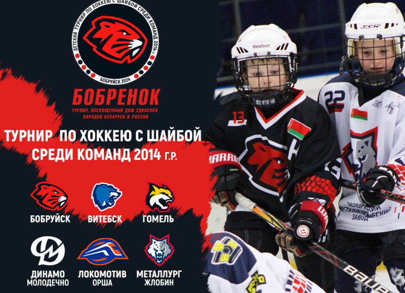 «Бобруйск-Арена» приглашает на детские матчи! Вход свободный