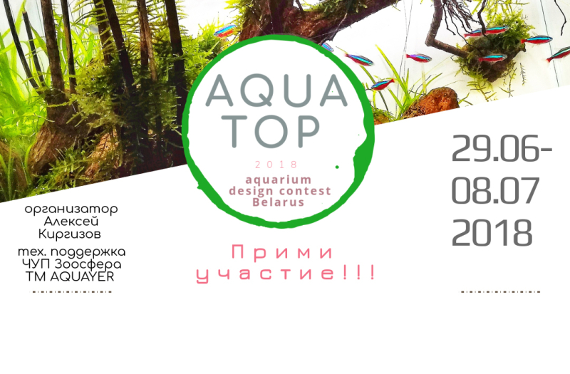 Выставка-конкурс аранжировки растительных аквариумов