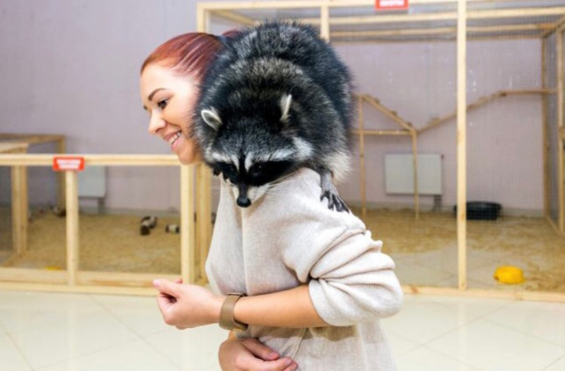  Открытие контактного зоопарка в Бобруйске