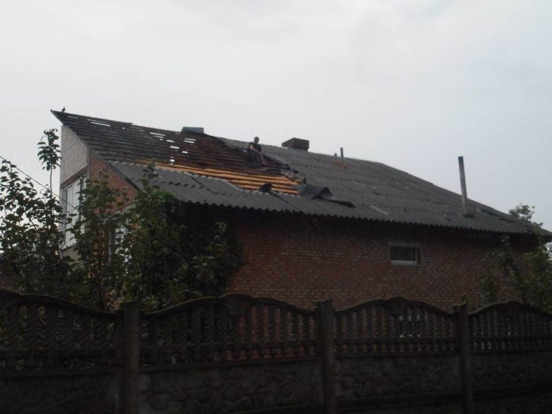 О последствиях сильного ветра на территории города Бобруйска