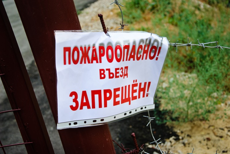 В Бобруйском районе установлен запрет на пребывания в лесах