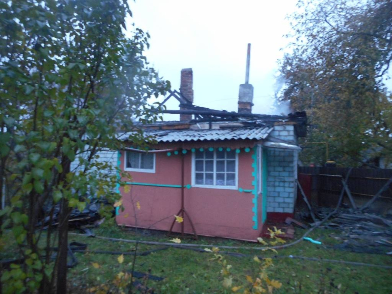 При пожаре на улице Борисовской сработали АПИ