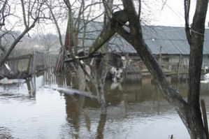 Уровень воды в реке Березина в норме