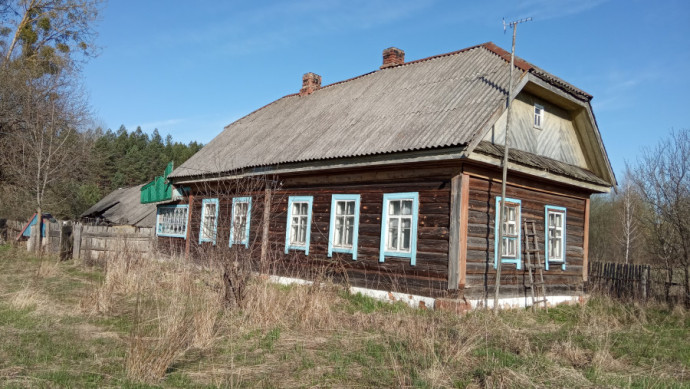 Деревянный дом в деревне Макаровичи