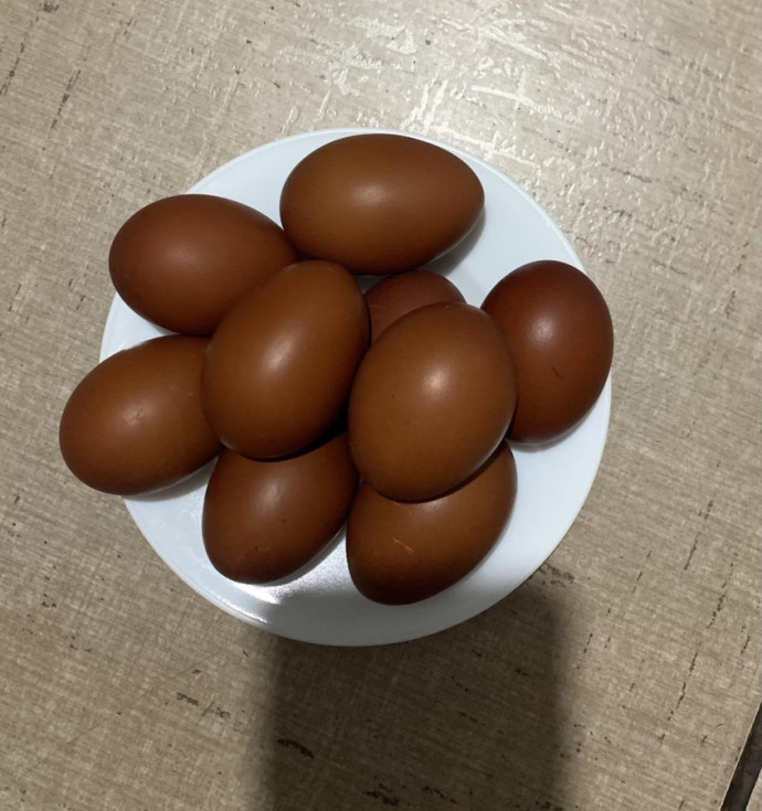 Инкубационное яйцо Маран черный серебро