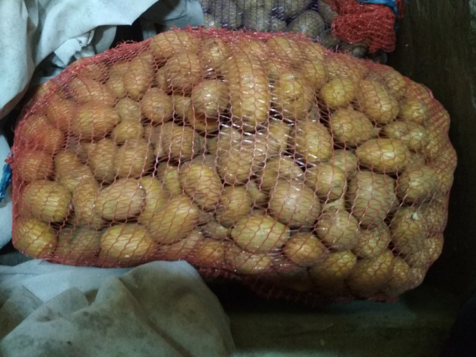 Семянка картофеля Бриз 0, 5руб