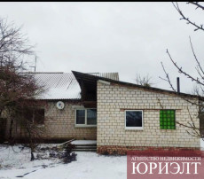 Кирпичный жилом дом в деревне Василевка