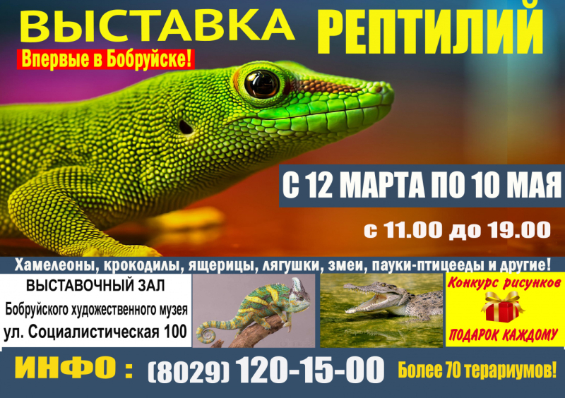 Впервые Большая выставка рептилий в Бобруйске