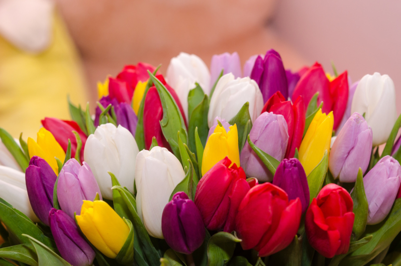 В налоговой инспекции Бобруйска рассказали, как физлицам продавать цветы к 8 марта