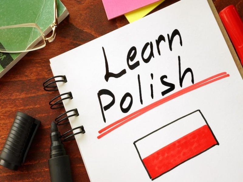 Курсы польского языка: делаем правильный выбор
