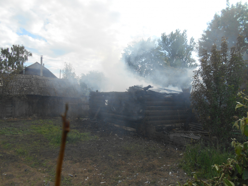 В деревне Стасевка Бобруйского района горел сарай