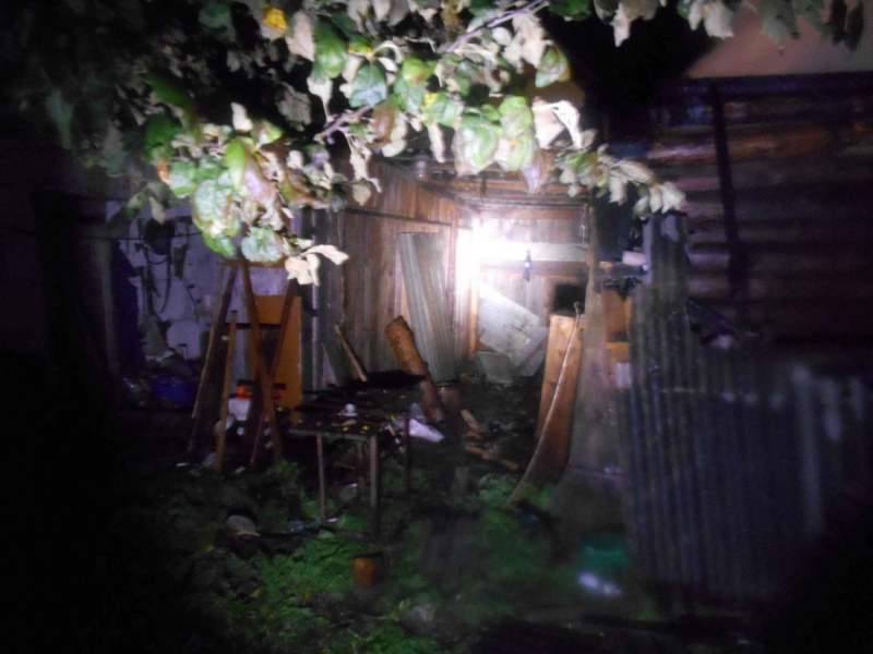В деревне Ковали Бобруйского района сгорел гараж и машина в нем