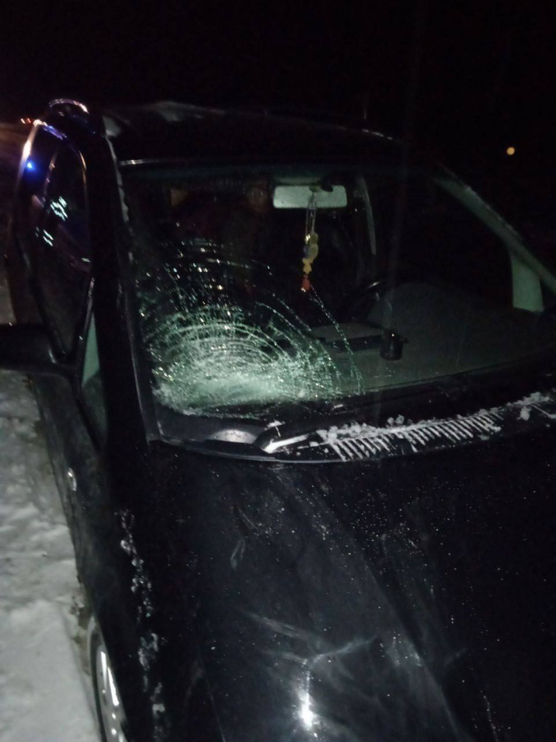 Пьяный пешеход попал под машину в Бобруйском районе