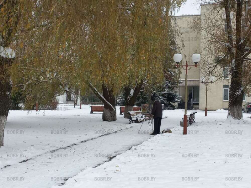 Тематическая подборка фотофактов: Снежный Бобруйск