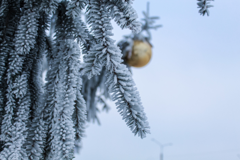 Ночные морозы до -14°С и гололедица ожидаются в Беларуси 1 декабря