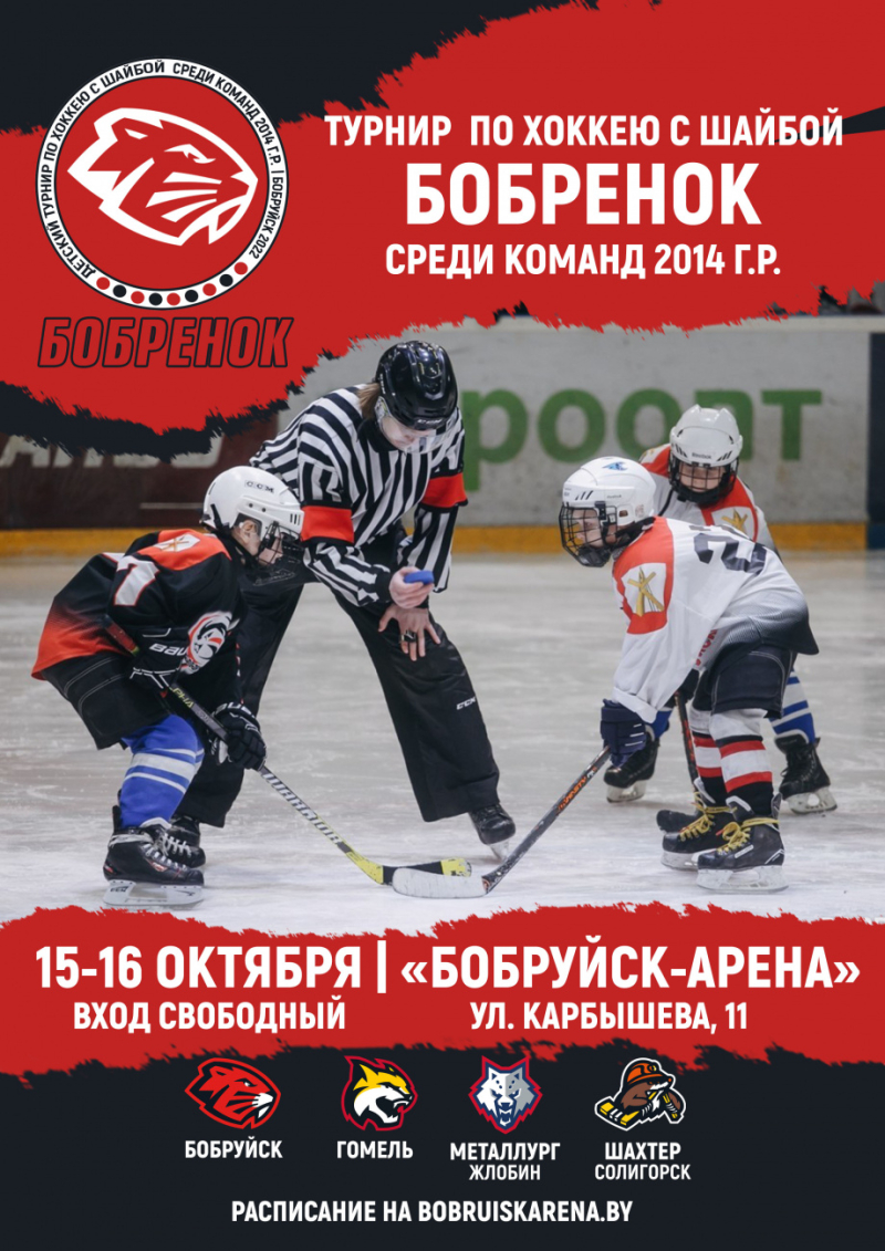 В «Бобруйск-Арене» пройдет турнир по хоккею «Бобренок»