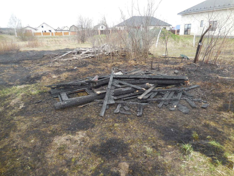 Из-за горящей травы в Бобруйске пострадала хозпостройка