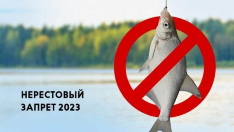 На реках и водоемах Могилевской области по 30 мая ограничения на лов рыбы