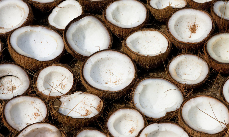 «Помидоры дороже кокосов». Нам ответили в МАРТ, почему белорусские продукты стоят больше импортных