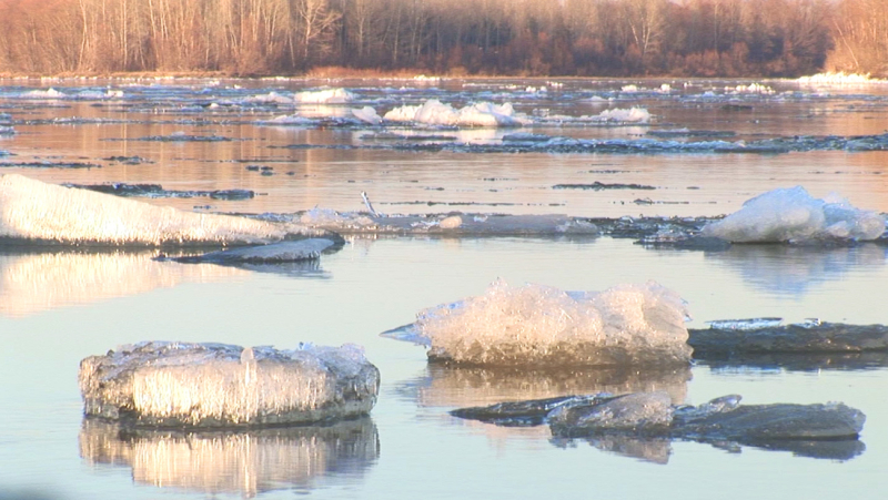 Уровень воды на Березине у Бобруйска превысил опасно высокую отметку