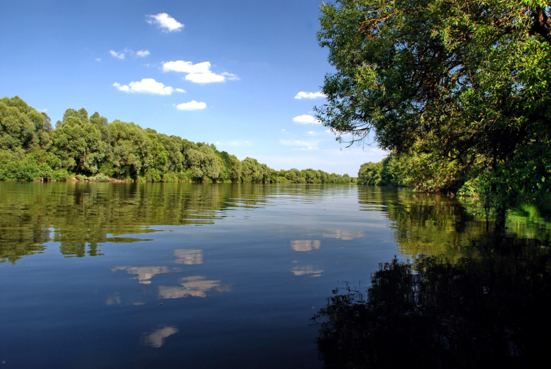 На большинстве рек Беларуси отмечается спад уровней воды с суточной интенсивностью 1-11 см