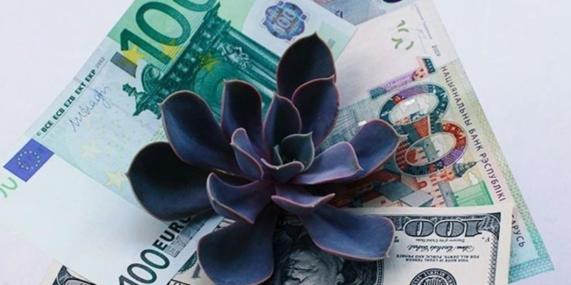 Доллар снова вырос: узнайте курсы валют на 4 июля 2023