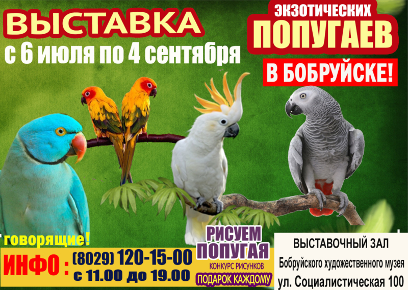 Выставка экзотических попугаев! Только с 6 июля по 4 сентября