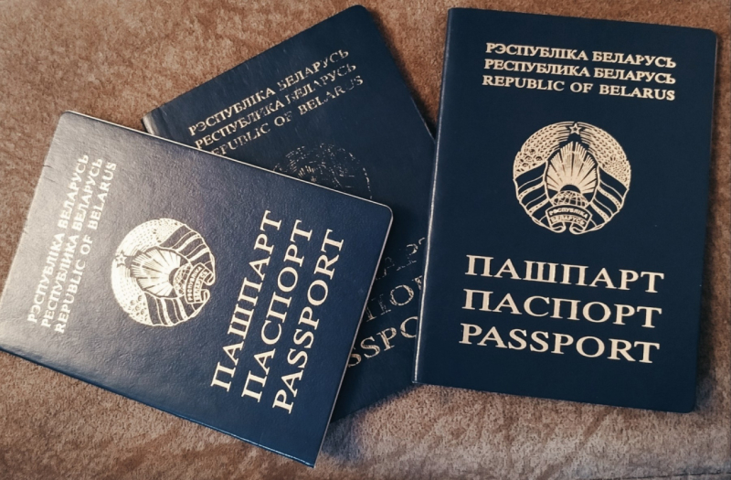 Новшества в законе о гражданстве: кому и зачем нужно сообщать о получении вида на жительство в другой стране
