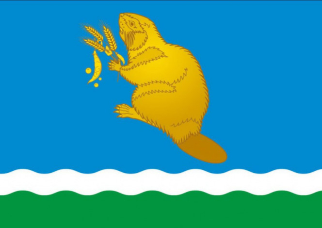 Жителей Бобруйского района приглашают создать новые герб и флаг
