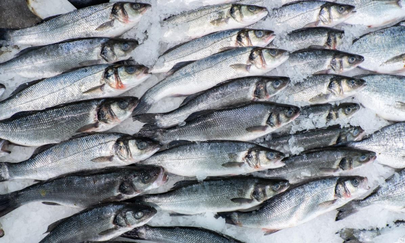 Компания из РФ поставила в Беларусь загрязненную паразитами рыбу