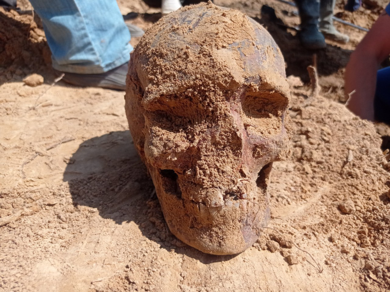 На стройке в Дзержинске нашли более сотни человеческих останков