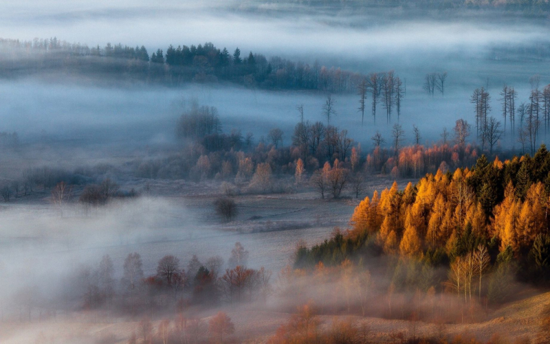 Оранжевый уровень опасности из-за тумана объявлен в Беларуси на 24 октября